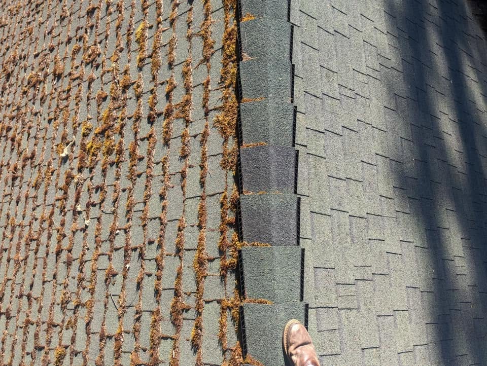 Roof cleaning on a residential home in Corvallis